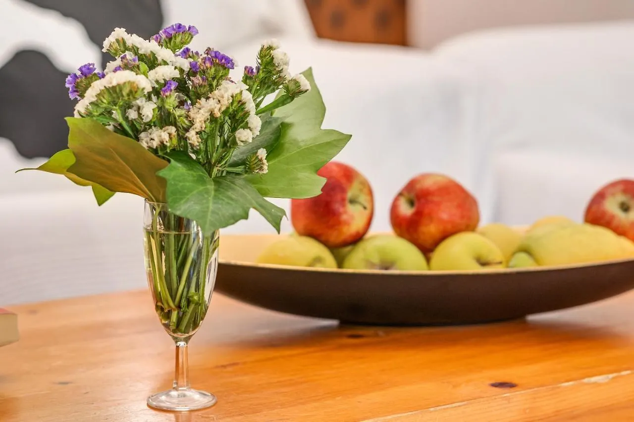 Can Freixa Soller Villa